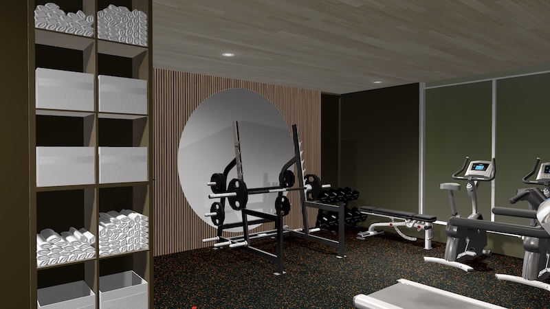 Small commercial gym setup for boutique studios and clinics